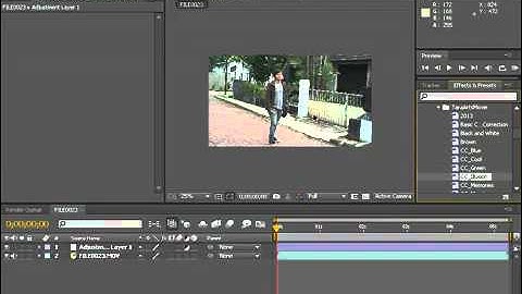 After Effects CS4 Free Color Correction Presets from Tara Arts Movie