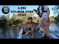 Goulburn River Rainbow Trout 4KG