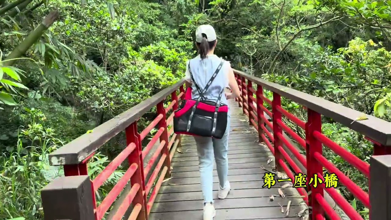 嘉義竹坑溪步值得一走嗎？雷音瀑布與龍宮瀑布的美景等著你