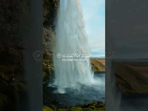 تلاوة قرآن شورت