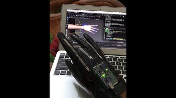 Human hand, Motion capture project Demo.