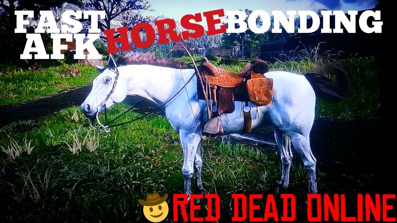 Horse Insurance Rdr2 Red Dead Online Horses Kladruber Horse Insurance Rdr2 Red Dead Online Horses Kladruber