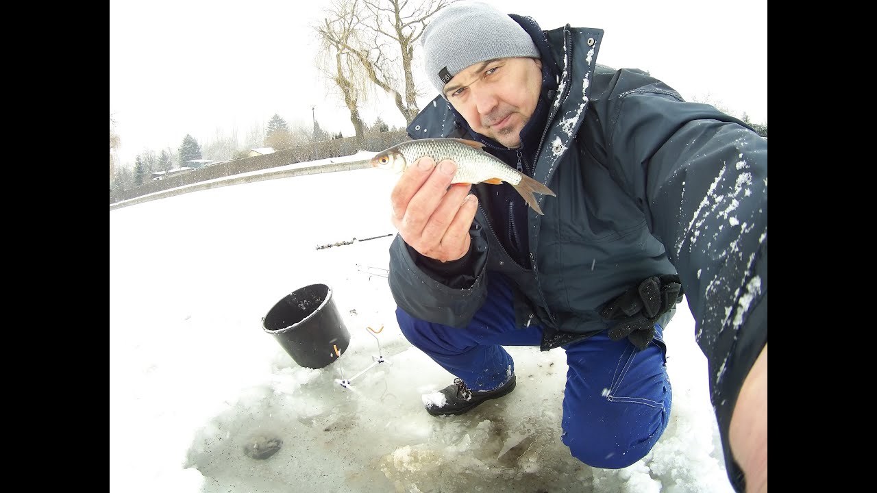 Jak skutecznie łowić płocie z pod lodu . Płociowy Kiler