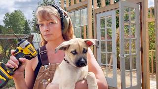 Raising a Puppy and a 12 Foot Wall: I Had to Ask for Help (The Big Build, Ep. 4)