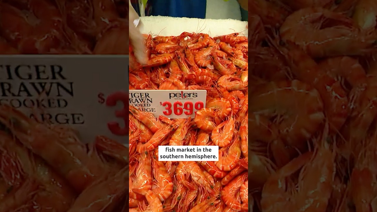 Sydney's $800 million fish market opens after years of delays