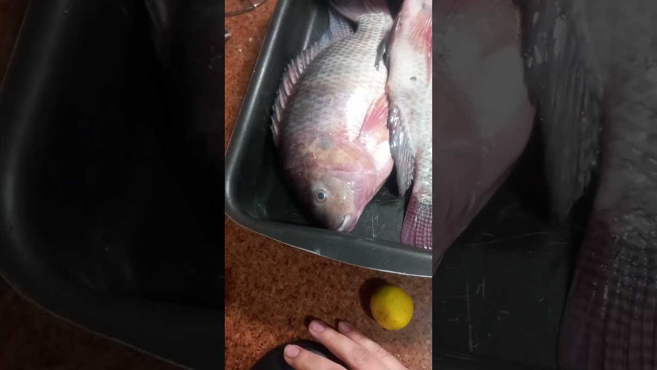 اخر يوم فى الشهر يلا فزعتكم هههههه