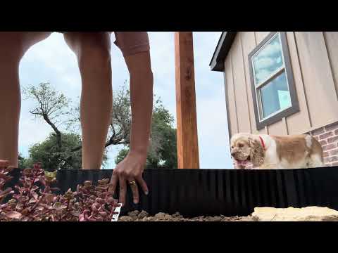 Transform Your Garden