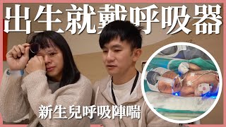 剛出生就戴呼吸器，太心疼了｜豬豬隊友 Scott & Wendy