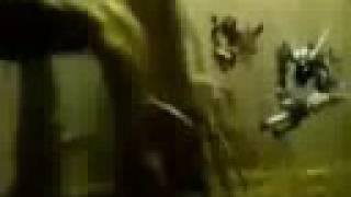 bionicle 4 trailer