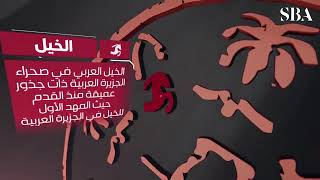 #يوم_بدينا | في دقيقة واحدة تعرّف على دلالات العلامات الموجودة في شعار يوم التأسيس. #قناة_السعودية