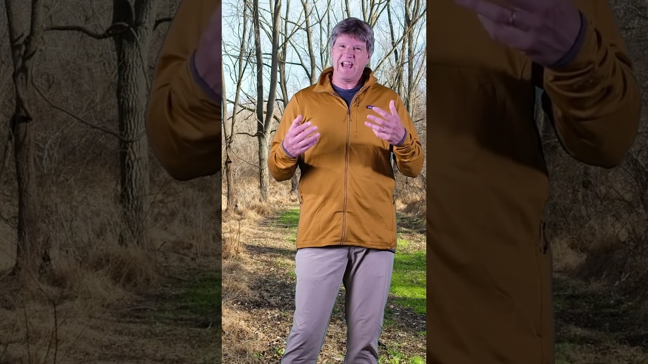 The Patagonia R1 Thermal Jacket - YouTube