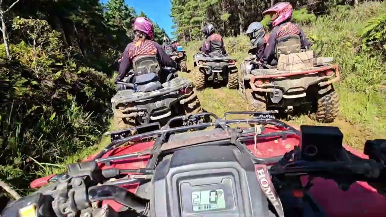 SURREAL ESTA TRILHA. LOCALIDADE DO MARACUJÁ E RIO PERDIDO. ANITÁPOLIS/SC. EM 25.01.2026.
