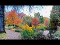 Autumn in the UK 🇬🇧 Autumn Leaves 🍁 Sir Harold Hillier Garden ArthuBlanco Ytv