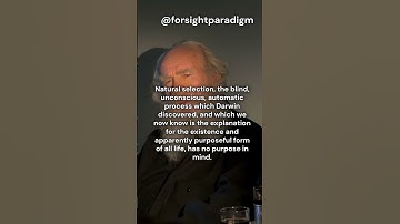 The blind watchmaker #richarddawkins #evolution #darwin #atheist