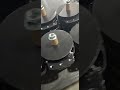Prestolite 150A AC Bus Alternator | Tested &amp; Ready to Dispatch