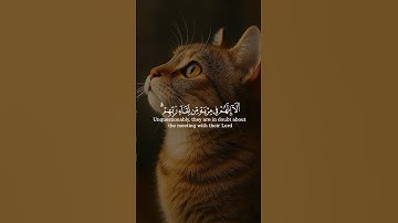 القارئ اسلام صبحي ❤️ #قران_كريم #اسلام_صبحي
