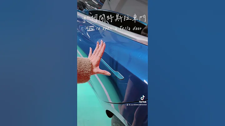 如何開特斯拉車門 How to Open a Tesla Door - 天天要聞