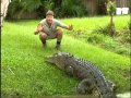 Steve Irwin's most dangerous adventures part 6