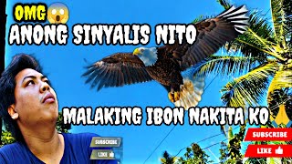 MALAKING IBON ANG NAKITA KO SAAN KAYA GALING ITO? JEPOT ADVENTURE 
