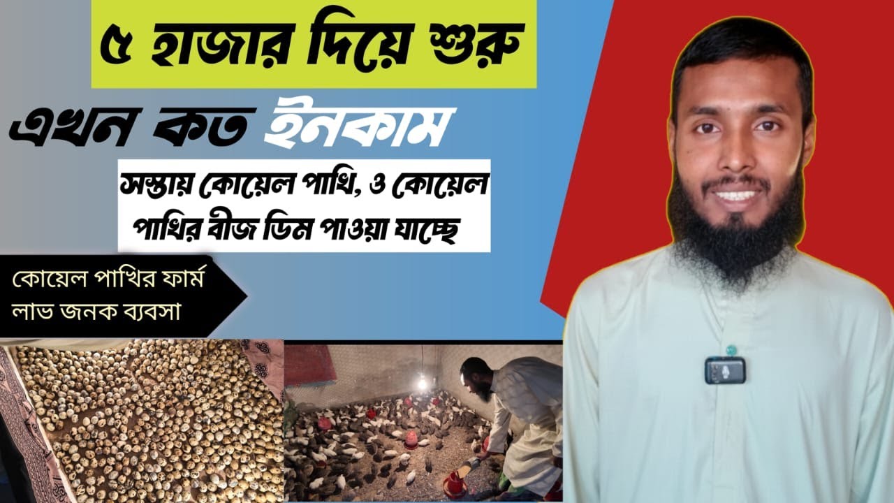 মাত্র ৫ হাজারে কোয়েল খামার শুরু! এখন কত ইনকাম হয়? বীজ ডিম ও পাখি হোলসেল