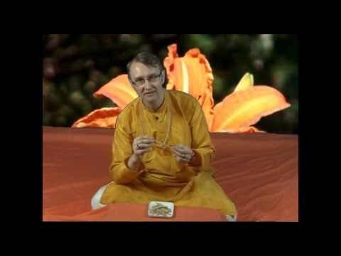 Аюрведа: Ашвагандха - сила коня (Роберт Грислис) 12 урок