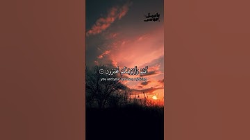 تلاوة خاشعة بصوت باسل مؤنس رحمه الله #قرآن