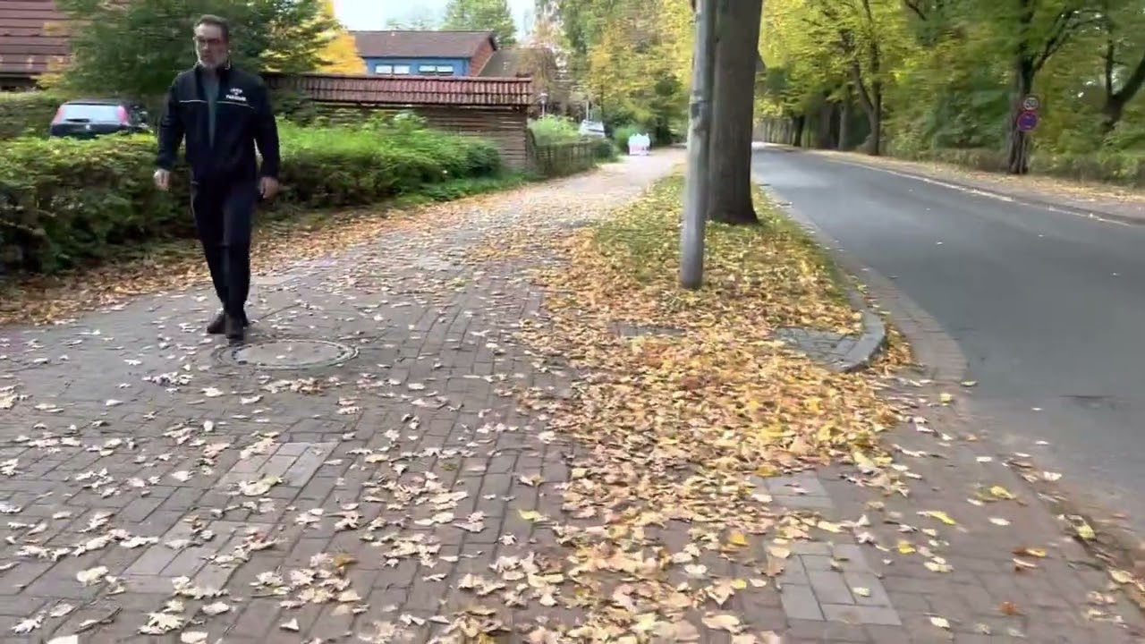 Pinneberg Germany Walking fall