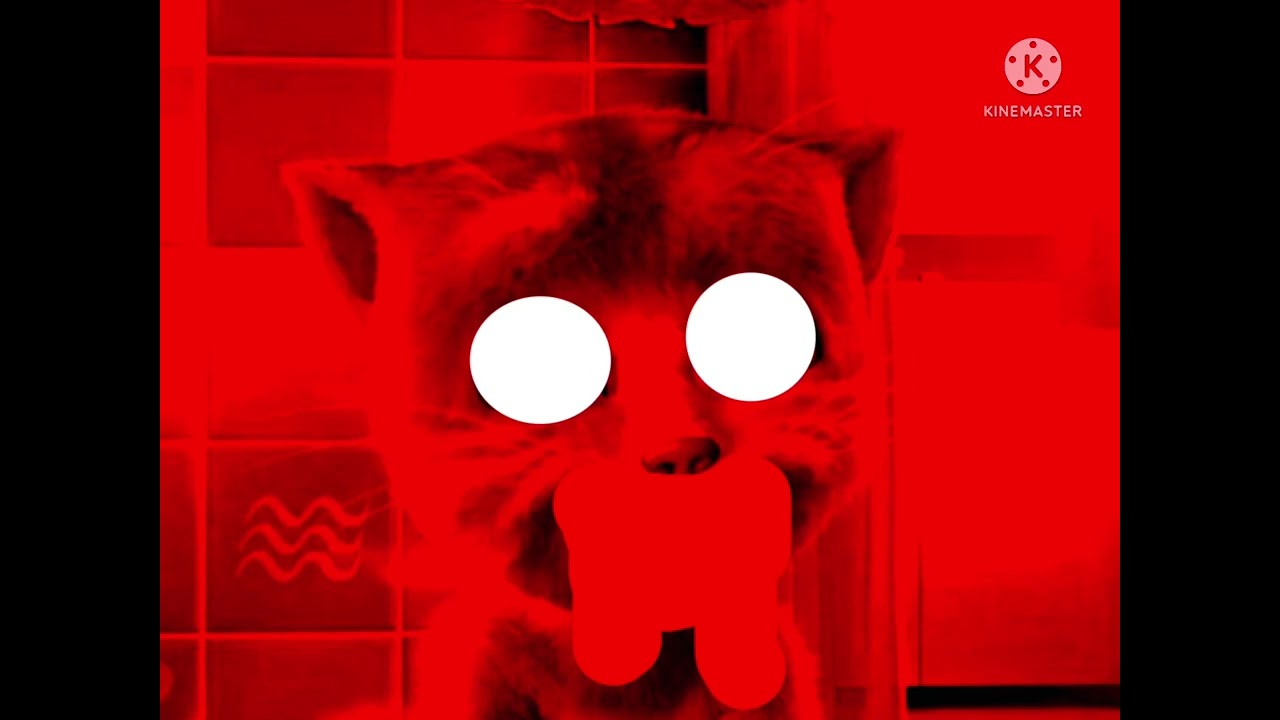 (FAKE) Talking Ginger Anti Piracy Screen #1 (for FTMF2003 is Back)