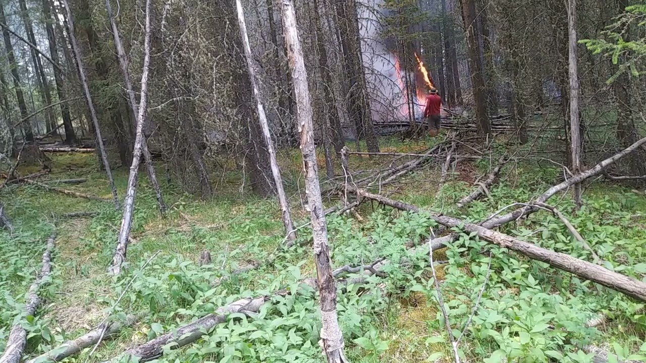 forest fire fighting near lone butte BC 2021