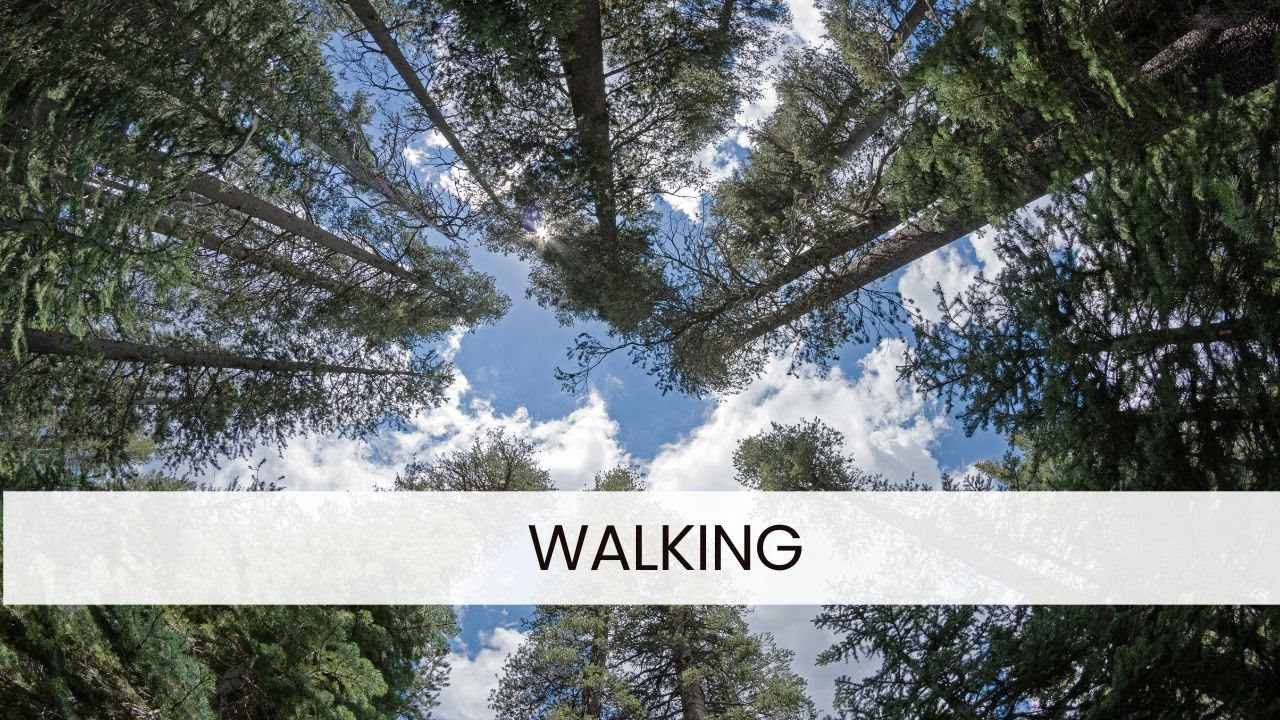 Chapel Worship - February 1, 2026 - Rev. Dr. Brian R. Paulson is preaching