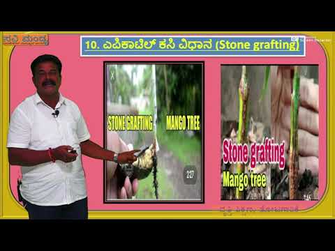 ವೃತ್ತಿ ಶಿಕ್ಷಣ ತೋಟಗಾರಿಕೆ-ಕಸಿ ಗಾರಿಕೆಯ ಅರ್ಥ & ಮಹತ್ವ- ಪ್ರಸ್ತುತಿ- ಜಯಶಂಕರ- ಸರ್ಕಾರಿ ಪ್ರೌಢಶಾಲೆ ಸೂನಗಹಳ್ಳಿ