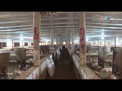 Video BR-VT phát triển mô hình kinh tế trang trại - youtube