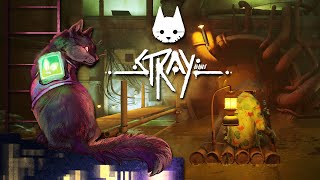 Stepping Deeper Into the INFESTED Sewers?!  Stray • #10