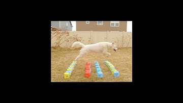 DIY agility long jump!  #shorts