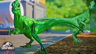 Alien Velociraptor vs. Dilophosaurus & Deinonychus Small Carnivores Battle