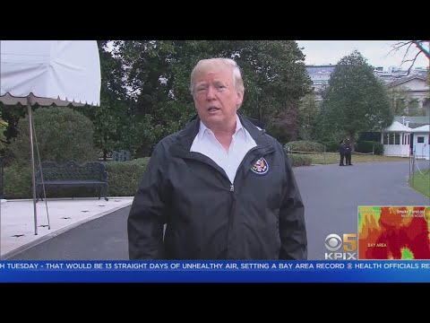 TRUMP SUPPORTS PELOSI: President Donald Trump says he supports Nancy Pelosi to be the speaker of t