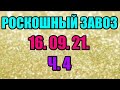 🌸Продажа орхидей. ( Завоз 16. 09. 21 г.) 4 ч. Отправка только по Украине. ЗАМЕЧТАТЕЛЬНЫЕ КРАСОТКИ👍