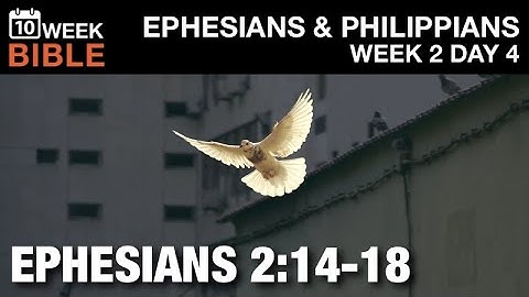 Jesus Our Peace | Ephesians 2:14-18 | Week 2 Day 4 Study of Ephesians