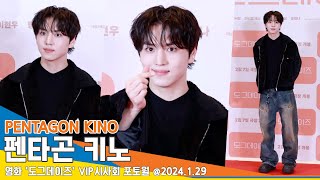 [4K] 펜타곤 키노, 심쿵 아이컨택 손하트~🫰🏻(도그데이즈 VIP시사회) #PENTAGON #KINO #Newsen