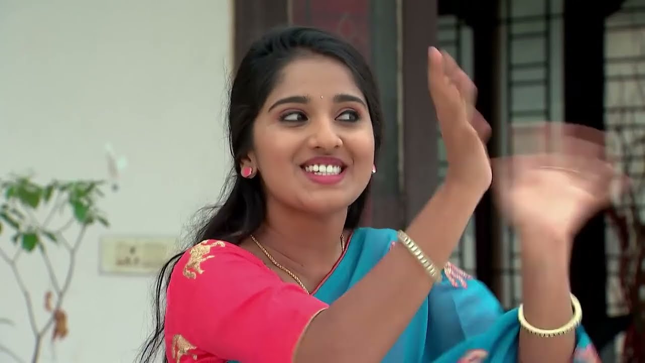 Kalyana Vaibhogam - Ep 367 - Meghana Lokesh - Telugu Tv Serial - Zee5 Telugu Classics