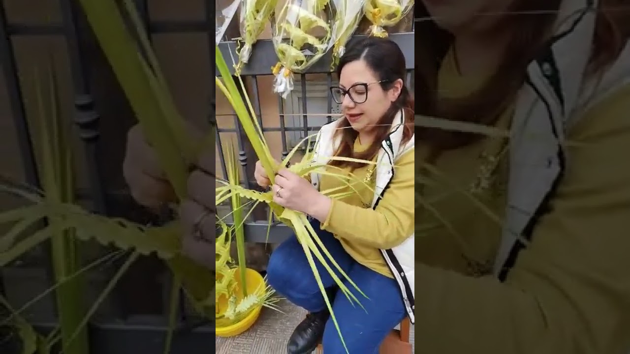 Palme intrecciate, la tradizione continua