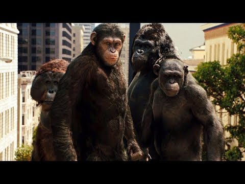 Apes Attack San Francisco Scene - Rise of the Planet of the Apes (2011) Movie Clip HD