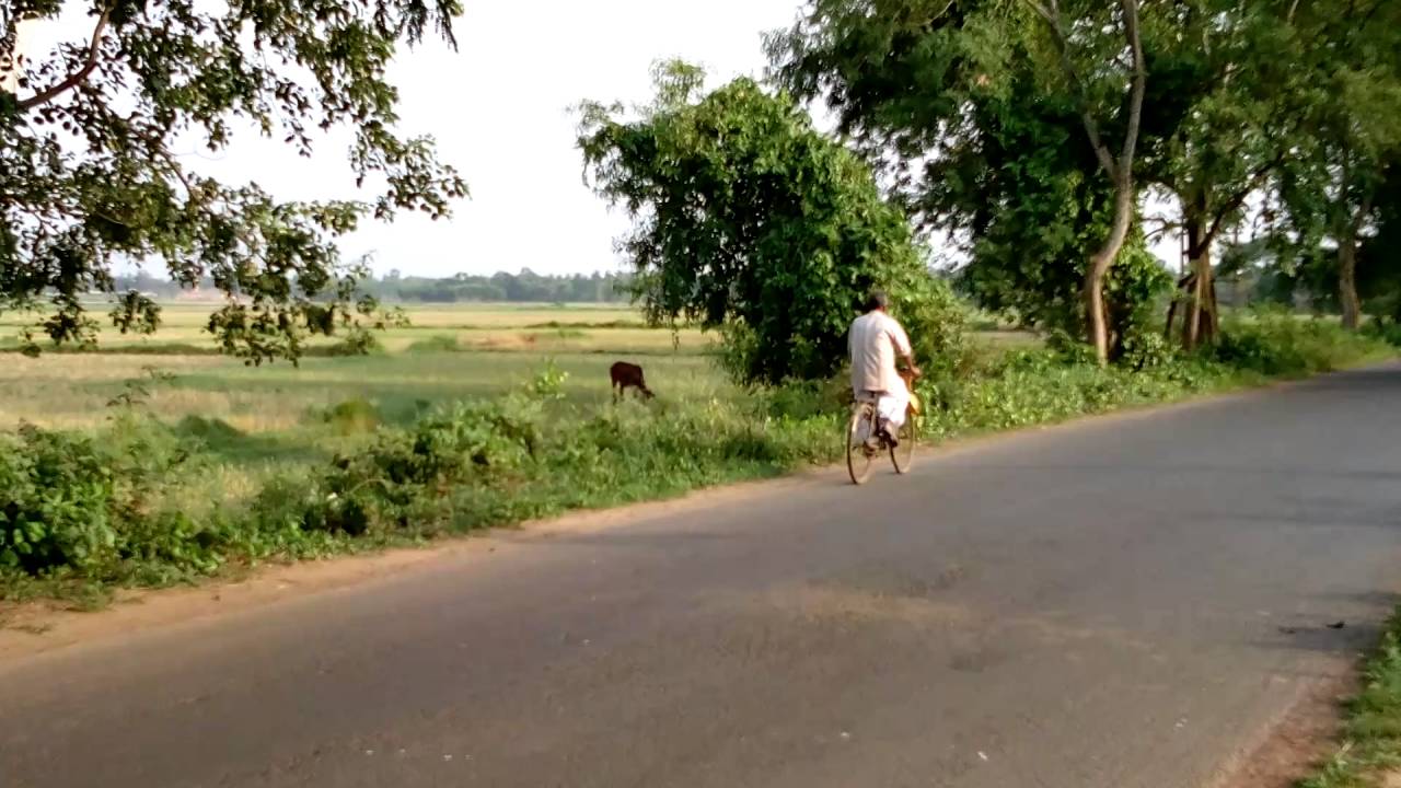 Well Maintained Village Road In West Bengal India Youtube