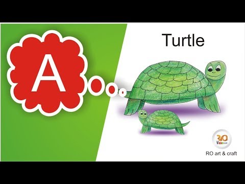 Drawing Turtle from letter A