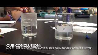 Molecules in Motion