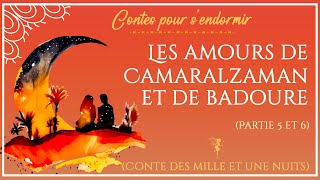 48 - Les amours de Camaralzaman et de Badoure (partie 5 et 6 /7) - Contes des Mille et Une Nuits