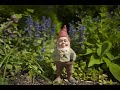 GNOMES IN THE WOODS