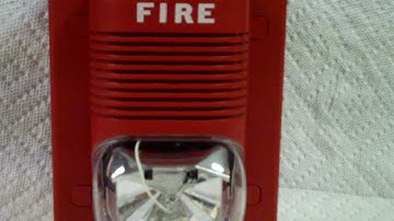 System Sensor P241575 3000HZ Code 3