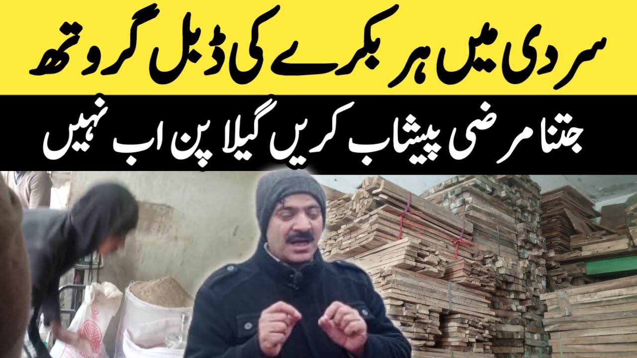 Goat farming tips and tricks/Goat farming training online