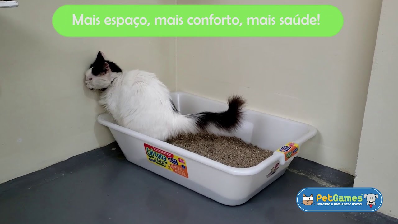 Caixona de Areia Cinza Pet Games - Bandeja Higiênica para Gatos